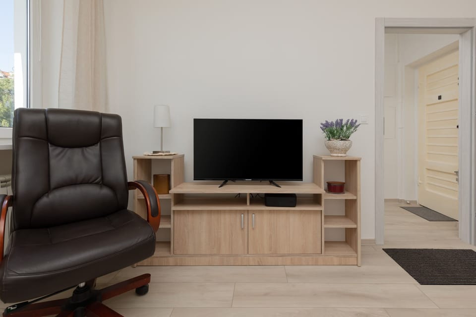 A comfortable living room with a TV console, a soft rug, and an armchair next to the entrance door.