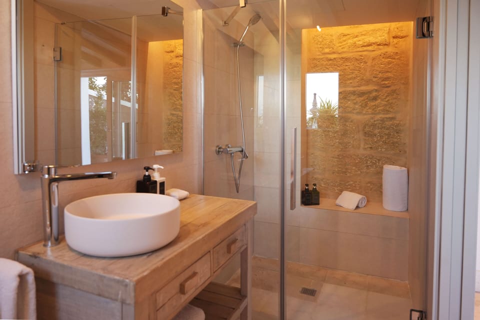 Premium Room | Bathroom | Free toiletries, towels