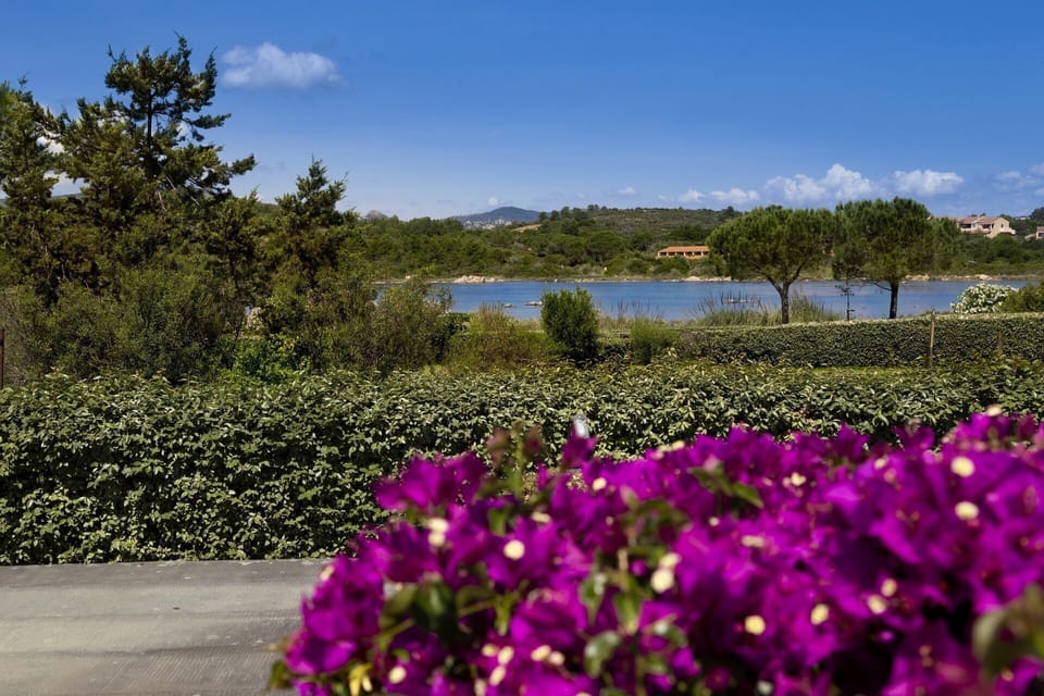 Activities, Amenities, Balcony / Terrace / Patio, Building Exterior, Facilities, Pool, Spring, Summer, Wellness