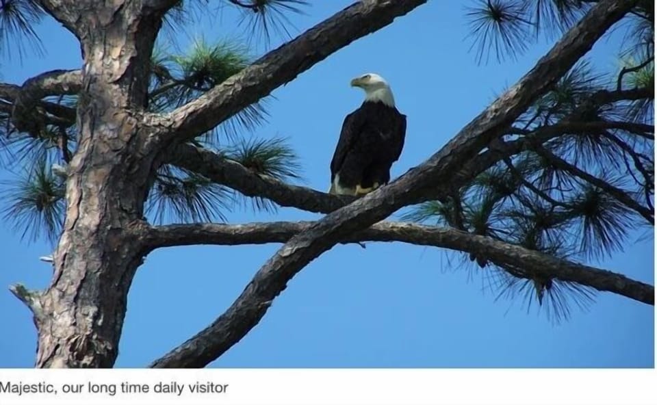Great for nature lovers
