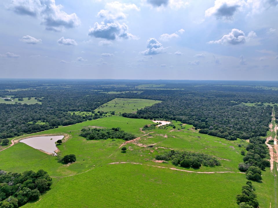 Hiking trails and paths for our 6 seater mules are abundant on the 400 acres