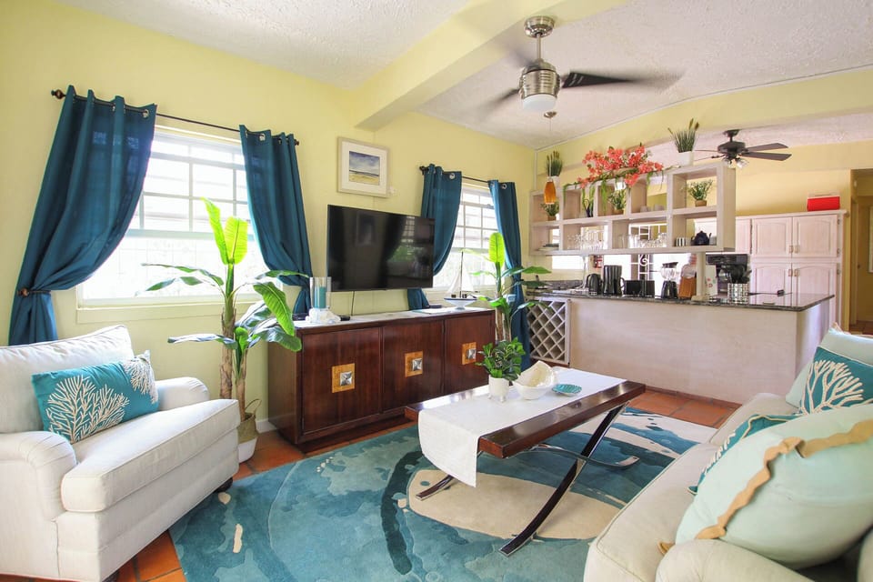 Smart TV in the living area