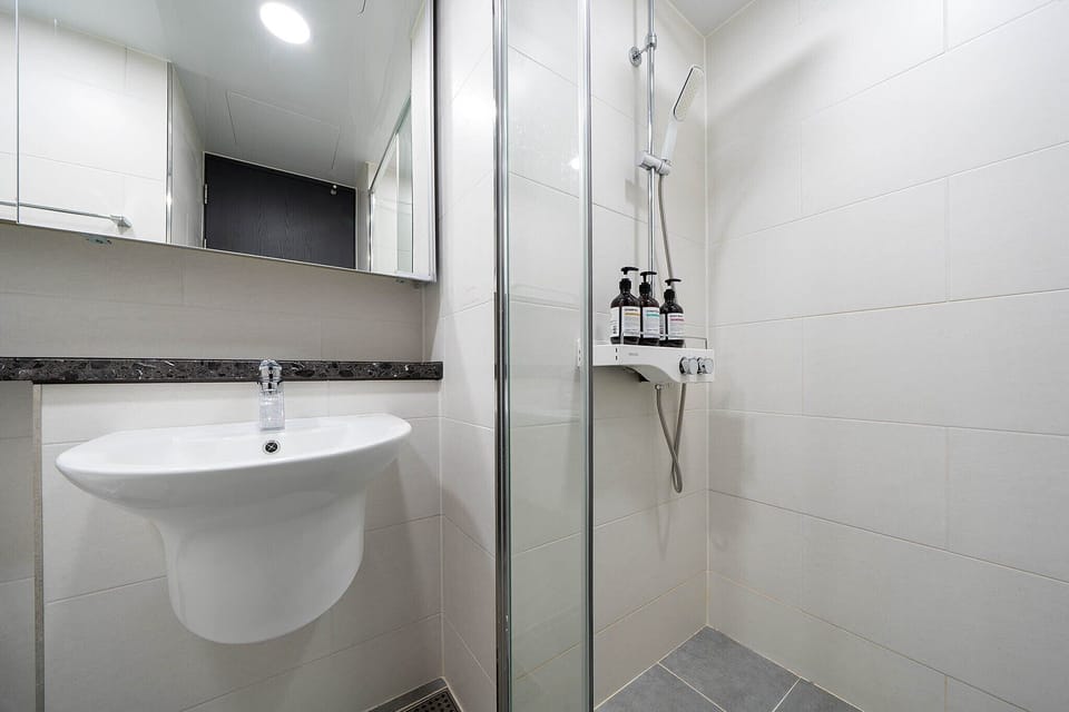 Shower, hair dryer, slippers, bidet