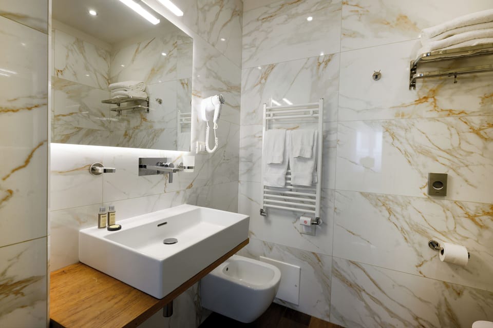 Deluxe Double Room | Bathroom | Shower, rainfall showerhead, hair dryer, bidet