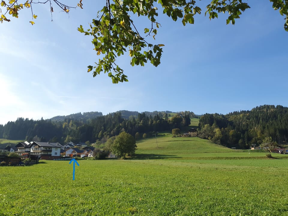 De piste met links Alpensuss 