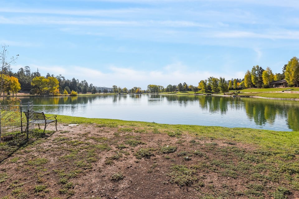 Duck pond is a great spot for an afternoon stroll!