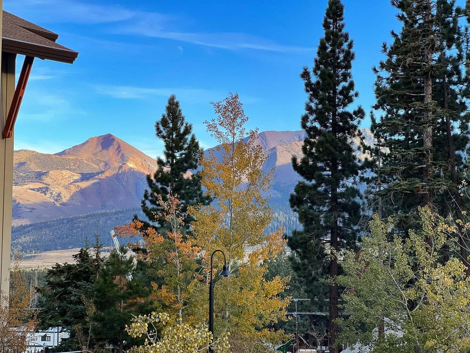 Studio | View from property