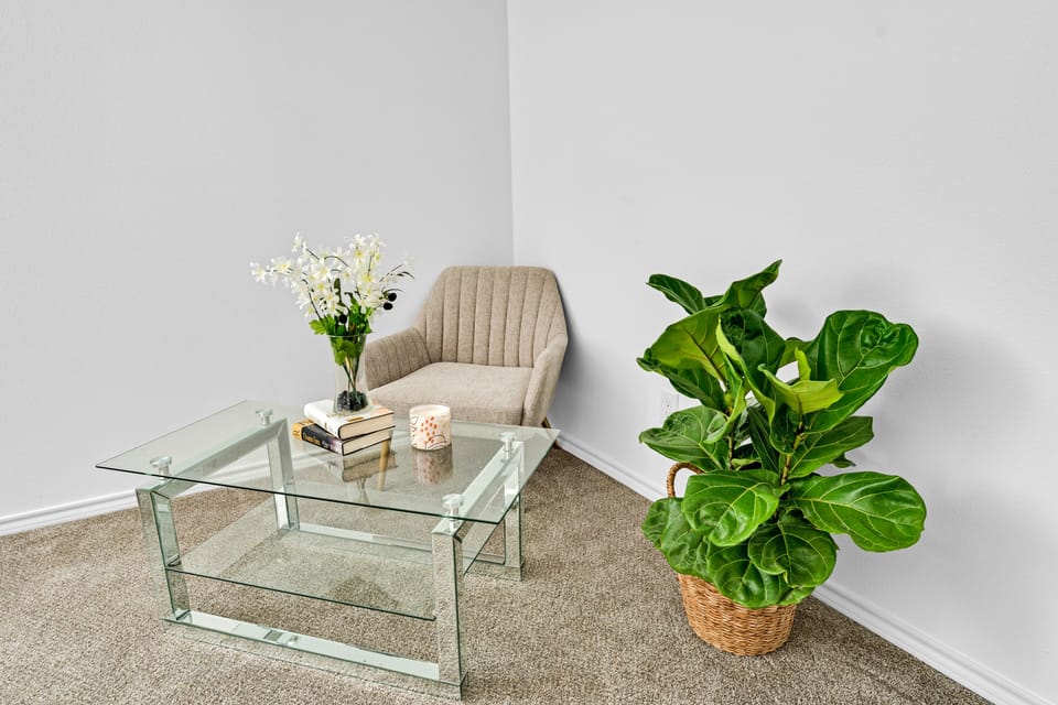 Reading/relaxing  area 