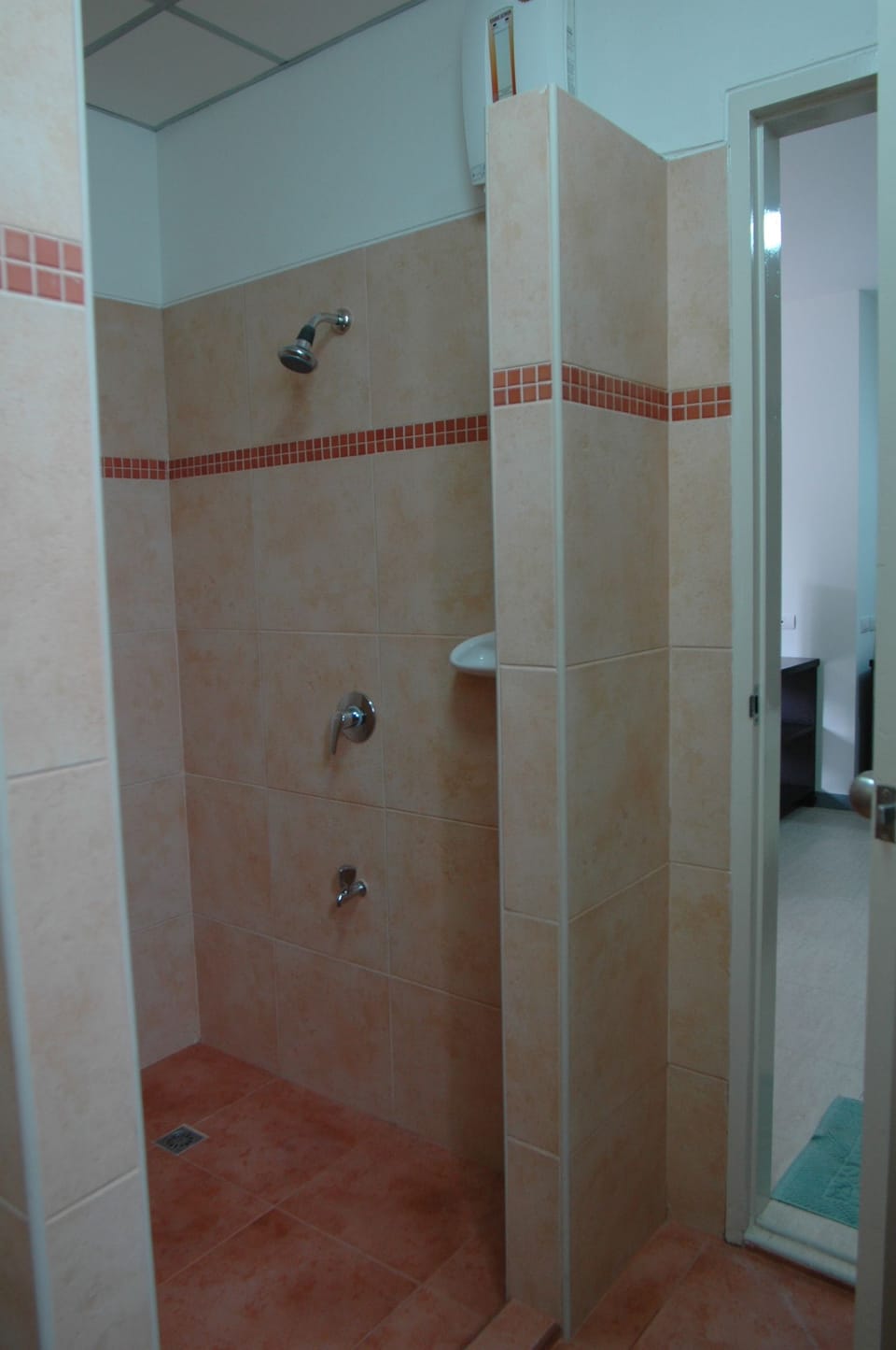 Deluxe Room | Bathroom shower