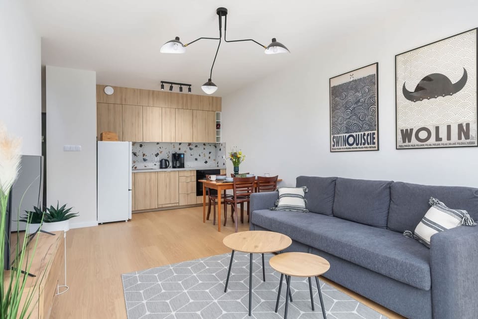 Modern living room with a sofa bed, TV and kitchenette with dining area.