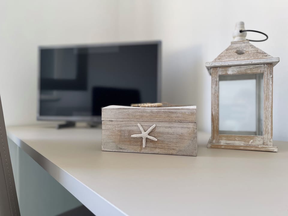 Television