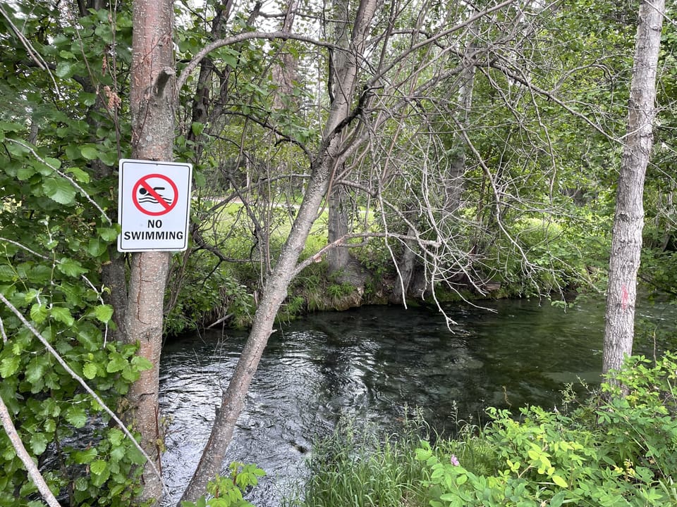 Bodenburg Creek 