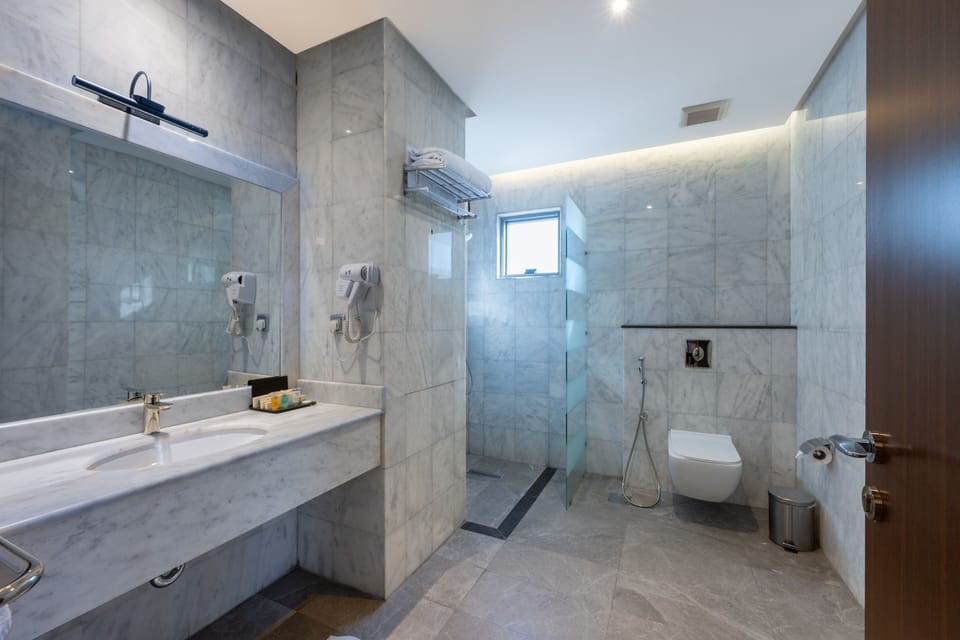 Deluxe Suite | Bathroom | Shower, hydromassage showerhead, designer toiletries, hair dryer