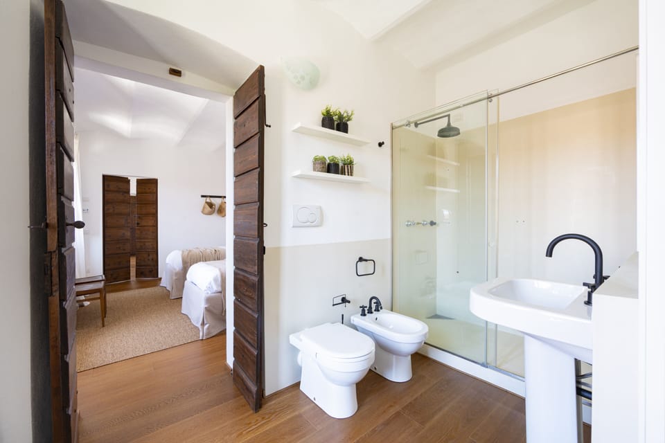 Hair dryer, towels, soap