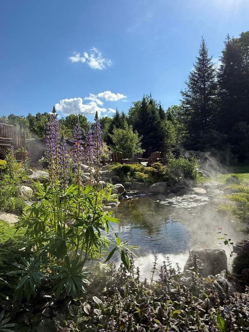 The pond with waterfall creates a relaxing backyard oasis