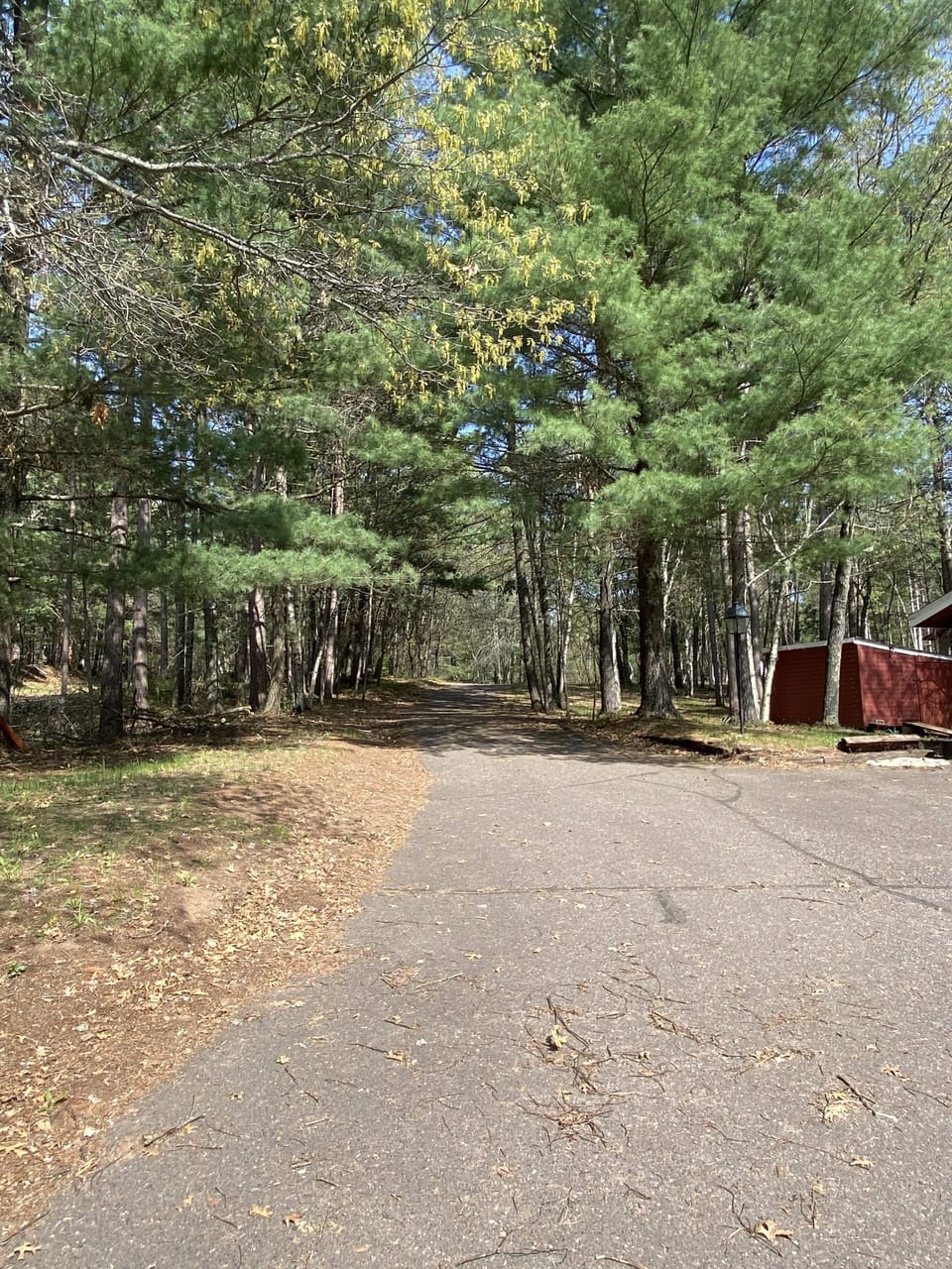 Tree lined quiet driveway.