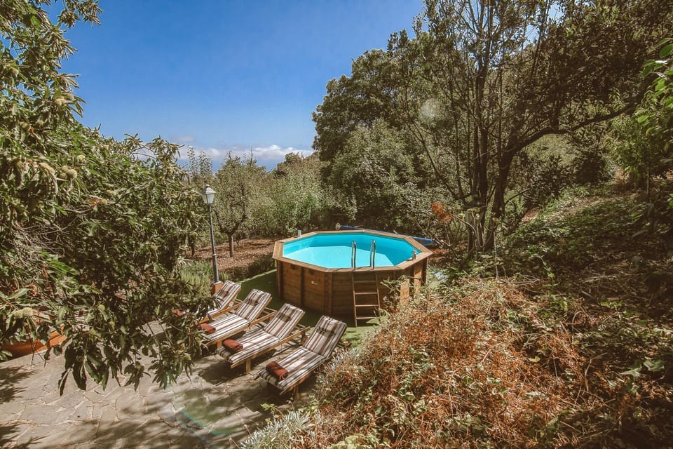 Holiday Home Swimming Pool