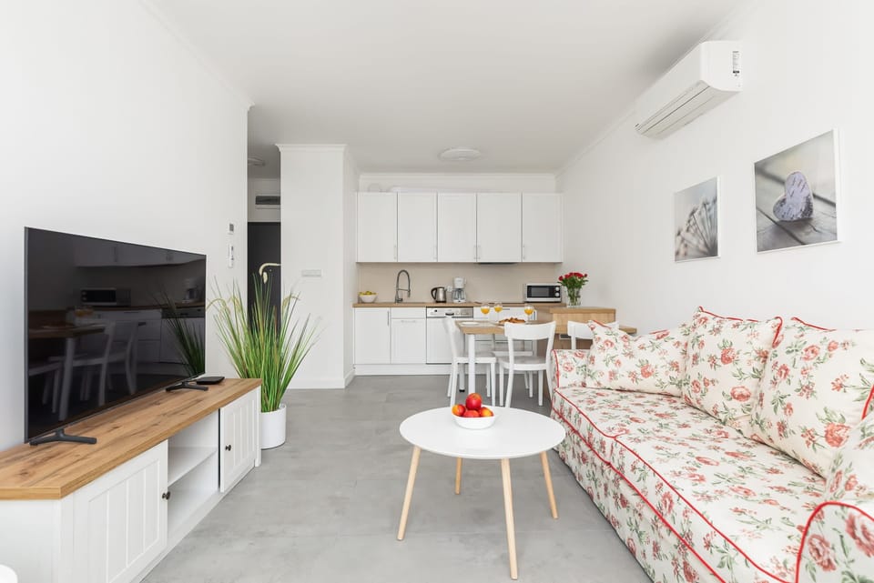 Bright and cozy living room with a sofa bed, TV and kitchenette.