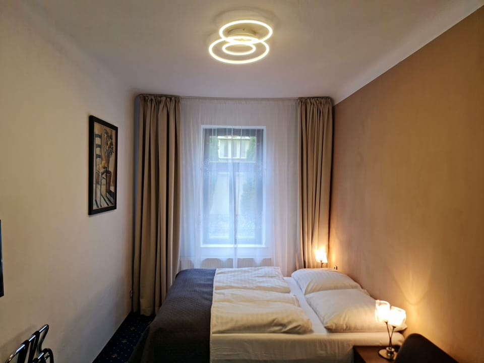 Standard Double Room, 1 King Bed | Hypo-allergenic bedding, down comforters, minibar
