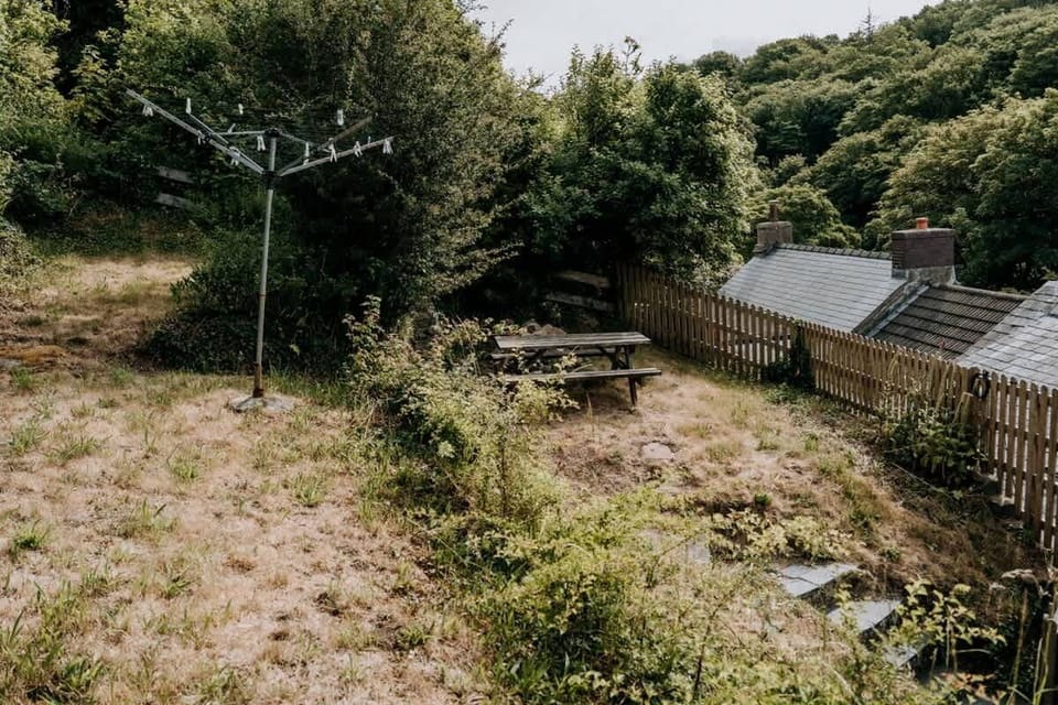 View from the top of the garden