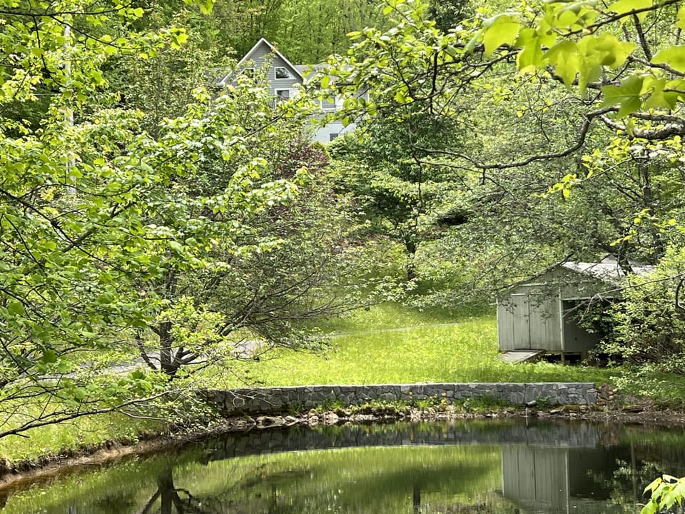 Private pond on the property 