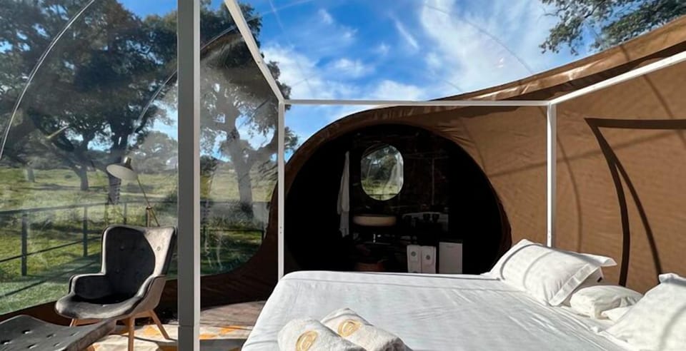 Panoramic Room, 1 Queen Bed | Capsule