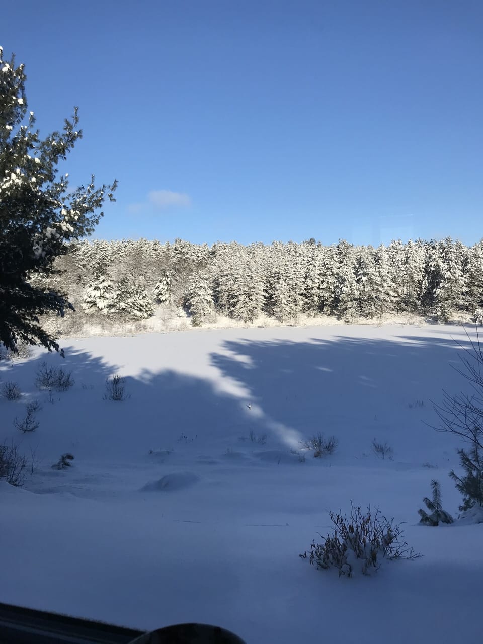 View from property