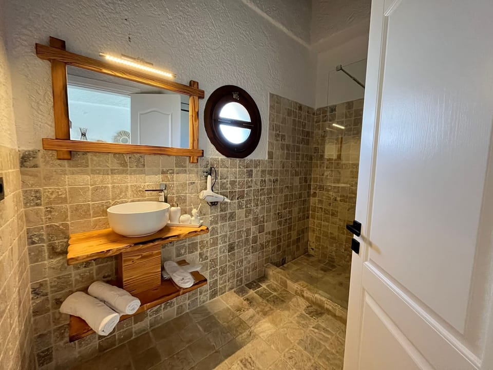 Traditional Room | Bathroom | Shower, free toiletries, hair dryer, bathrobes