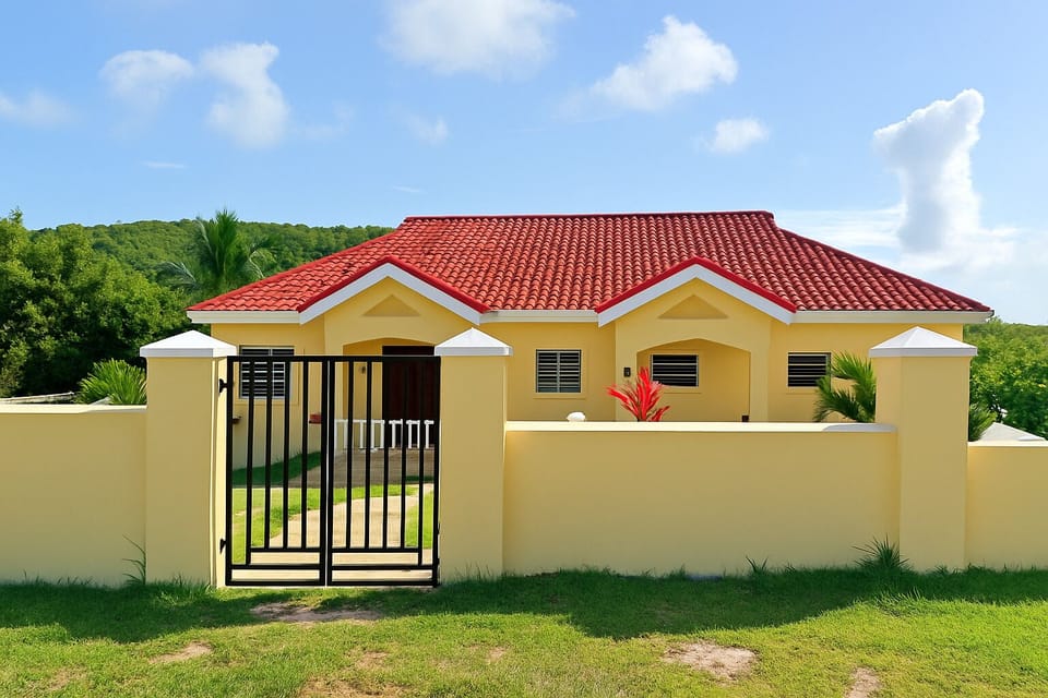 Front View