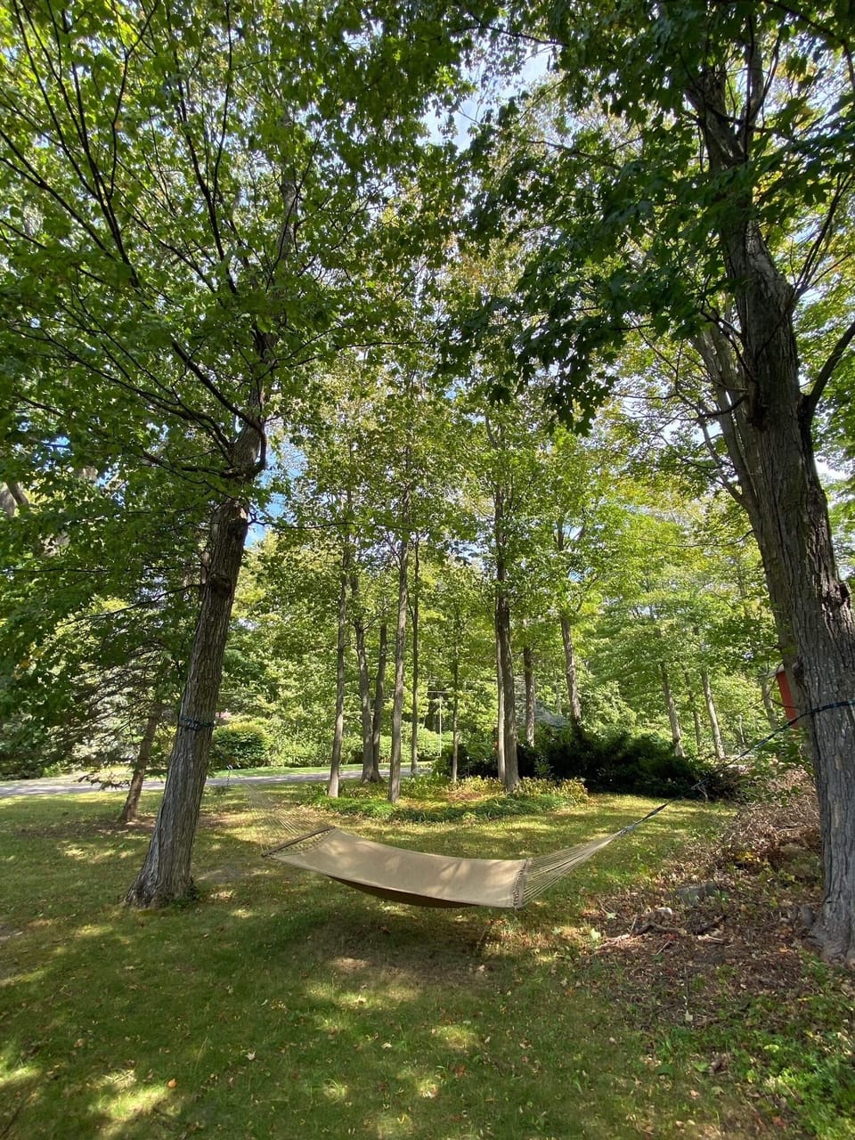 Hammock in front side yard