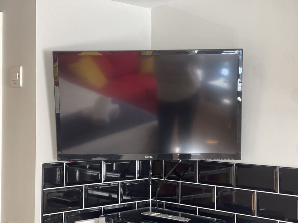 Television