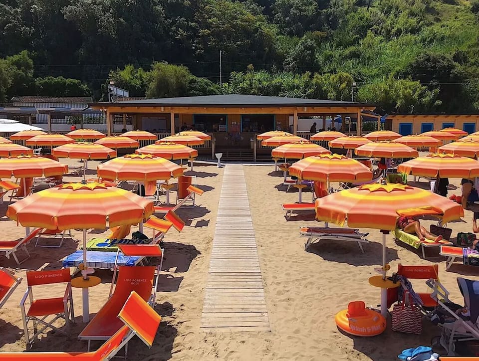 Private beach, white sand, free beach shuttle, sun loungers