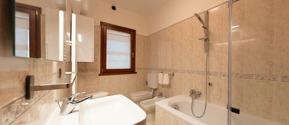 Shower, hair dryer, bidet, towels