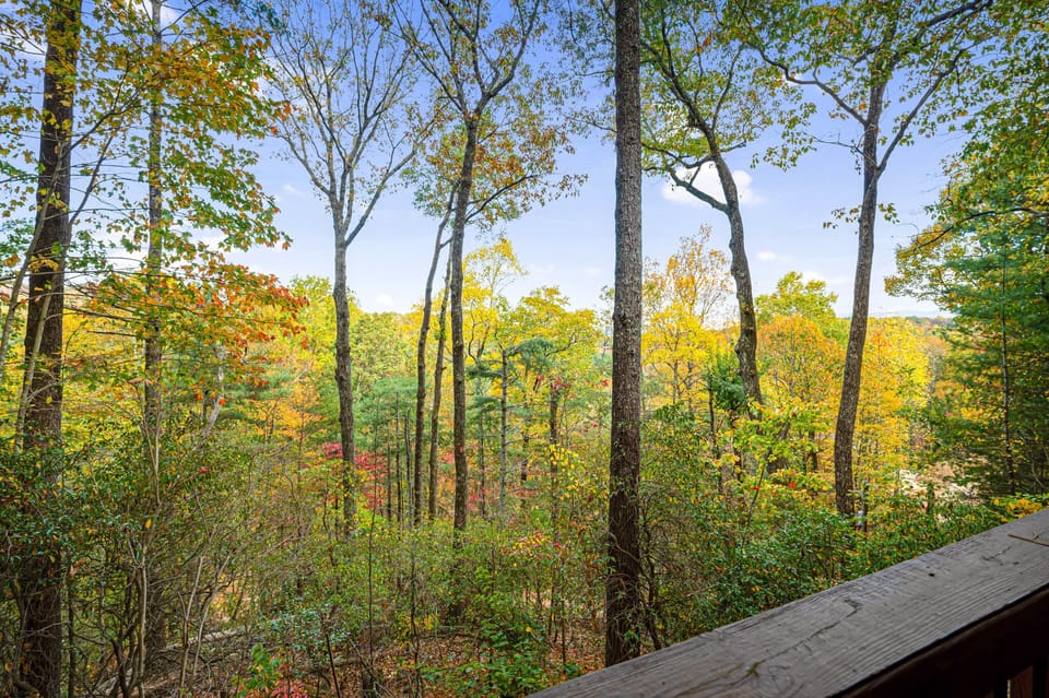 The tall trees provide the perfect setting for a cozy getaway.