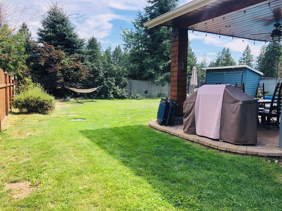 Brand new Weber BBQ