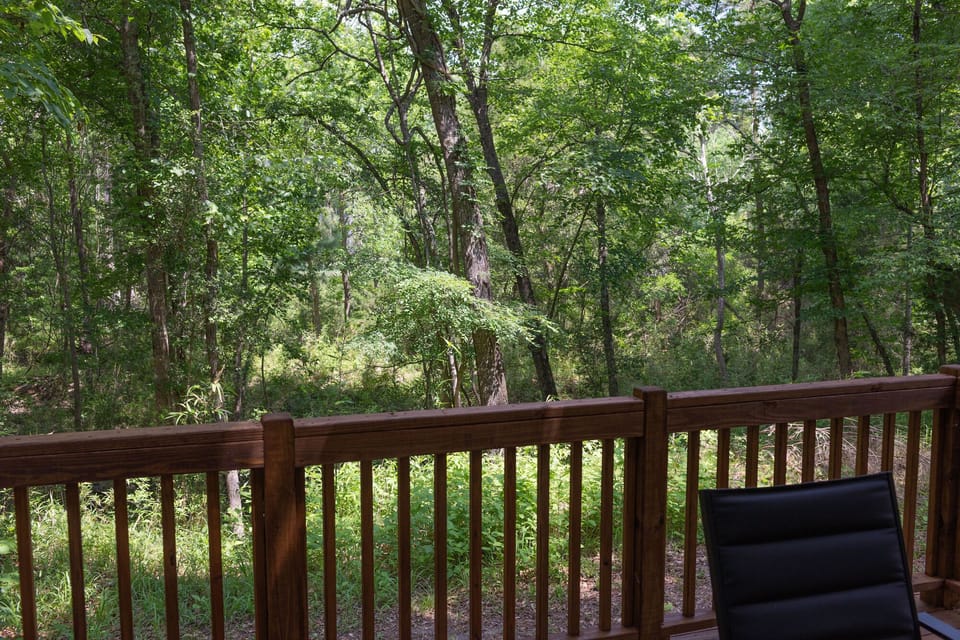 TCCR_C18_interior_230523_10