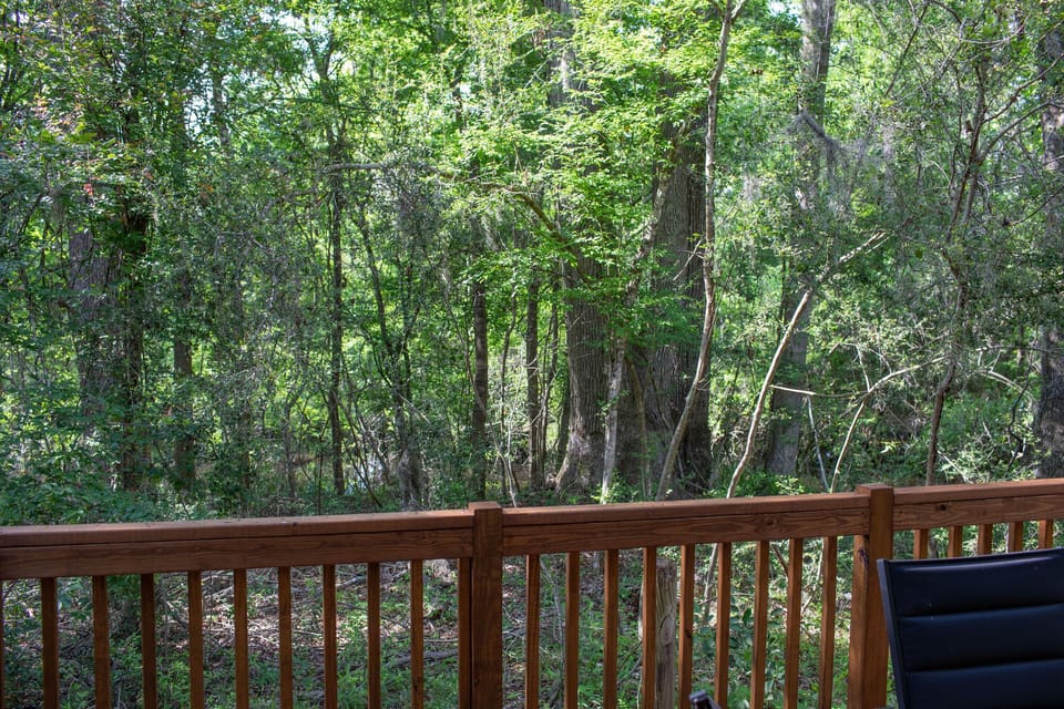 TCCR_C25_interior_230523_7