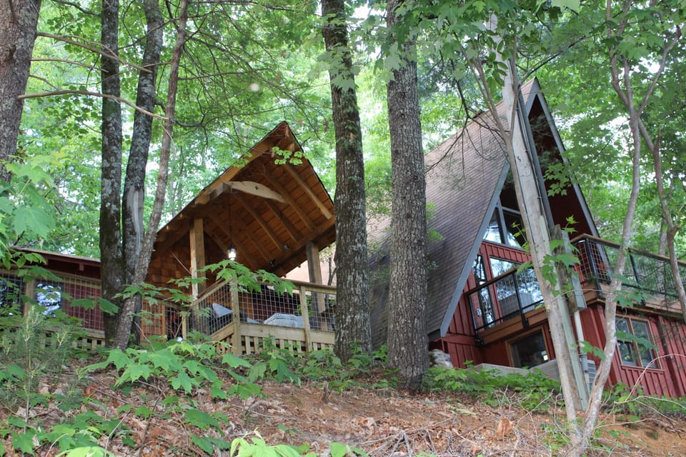 Peaceful and secluded - property surrounded on 3 sides by National Forest!