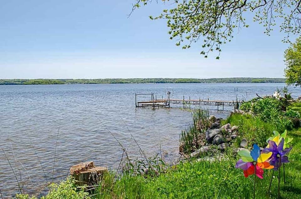 Shoreline in the spring