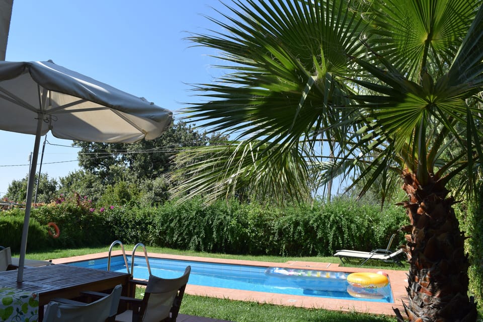 The pool and the outdoor dining area.