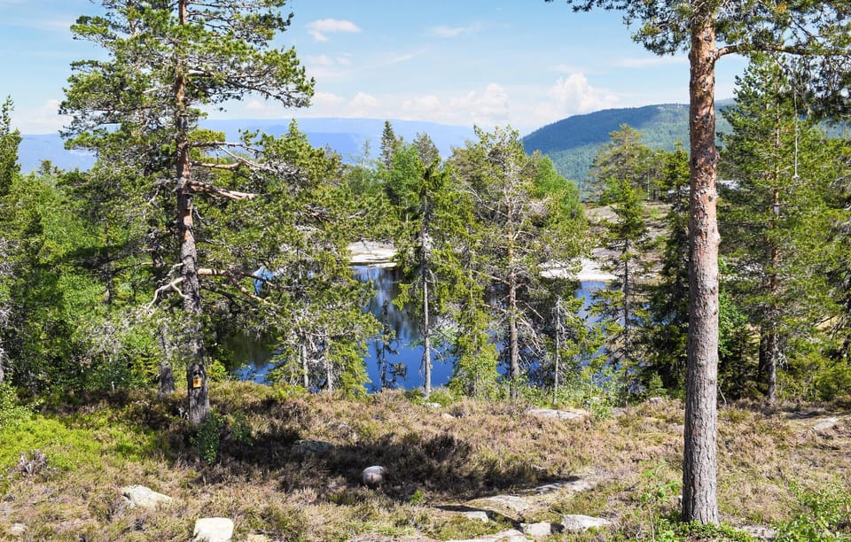 view-from-room