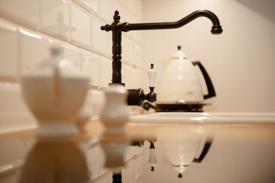 Family Apartment | Private kitchen | Fridge, stovetop, dishwasher, electric kettle
