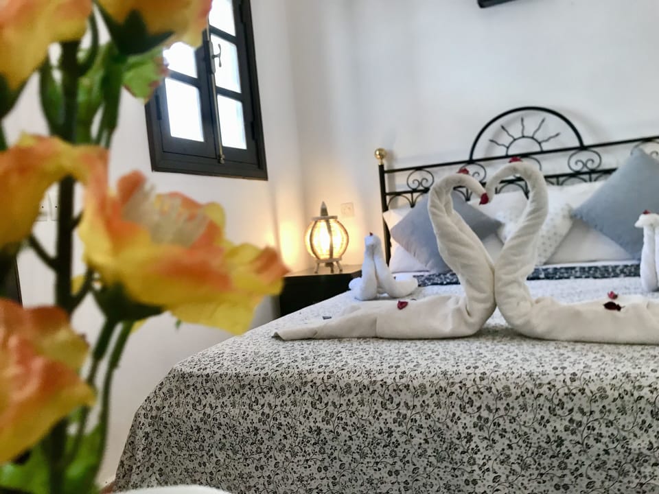 Standard Suite | Select Comfort beds, individually decorated, iron/ironing board