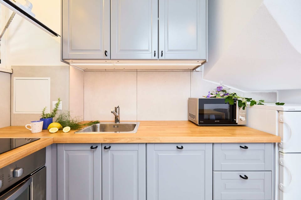 Apartment (1 Bedroom) | Private kitchen | Fridge, microwave, oven, stovetop