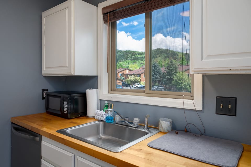 Stainless steel kitchen sink under a window with a view of a mountain.
