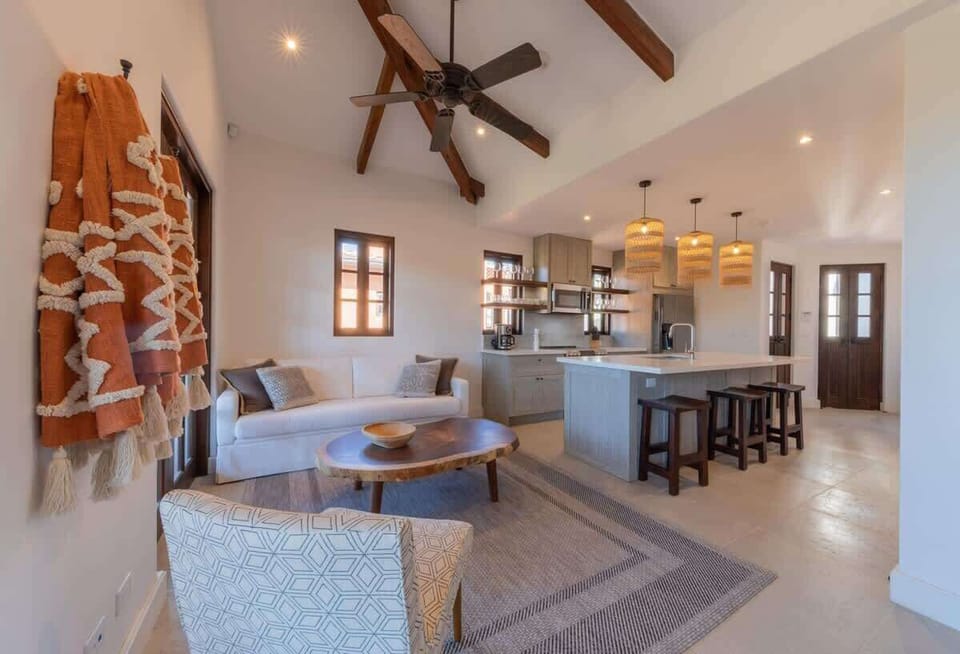 Living Room and Kitchen Area, Open concept.