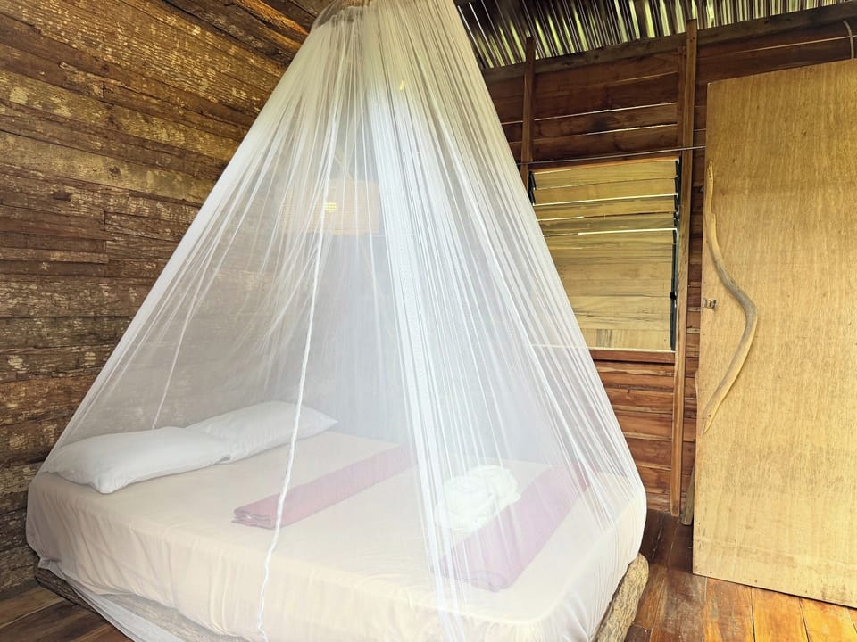 Basic Double Room | View from room