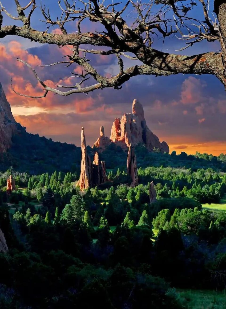 Miscellaneous