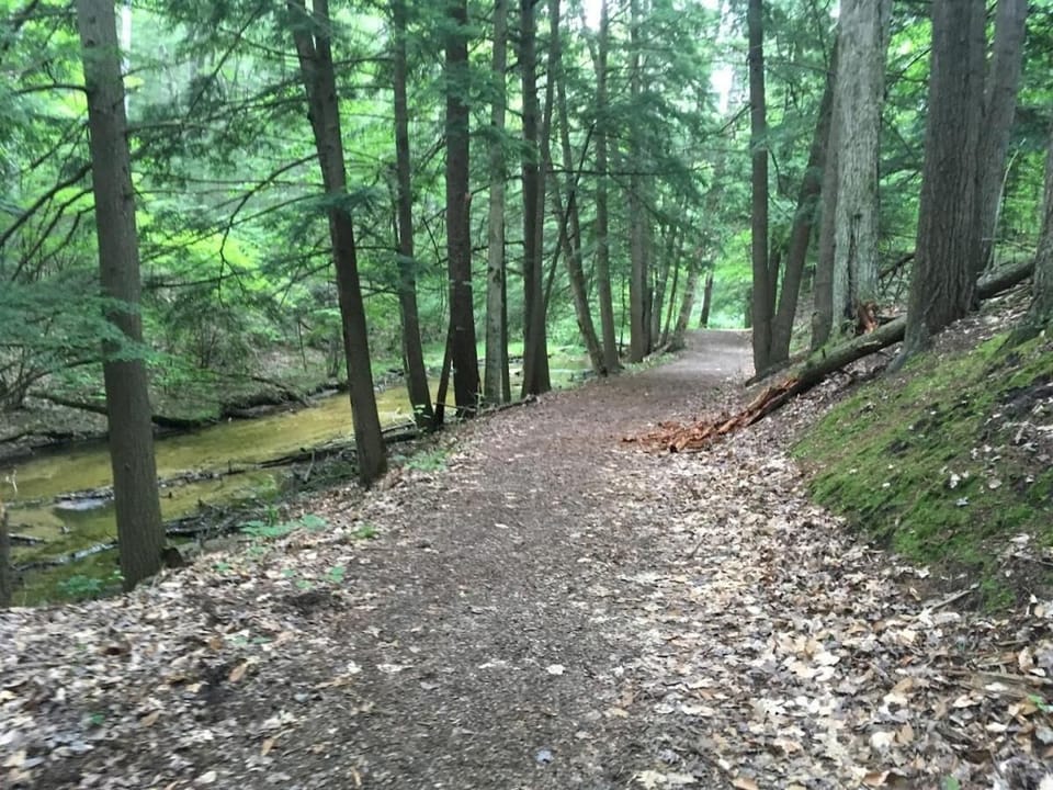 Public trail in Lake Ann