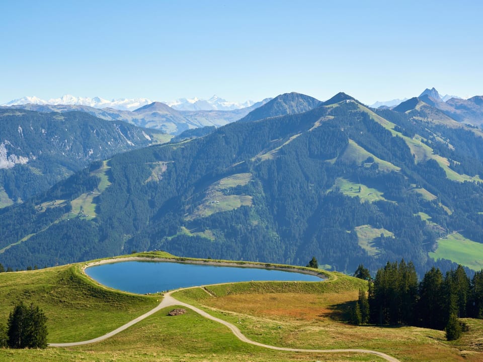 Region [summer] (>5 km)